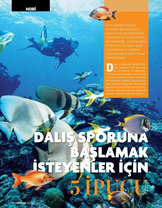 Mercan resifinin üzerinde yüzen dalgıç ve renkli balıklar